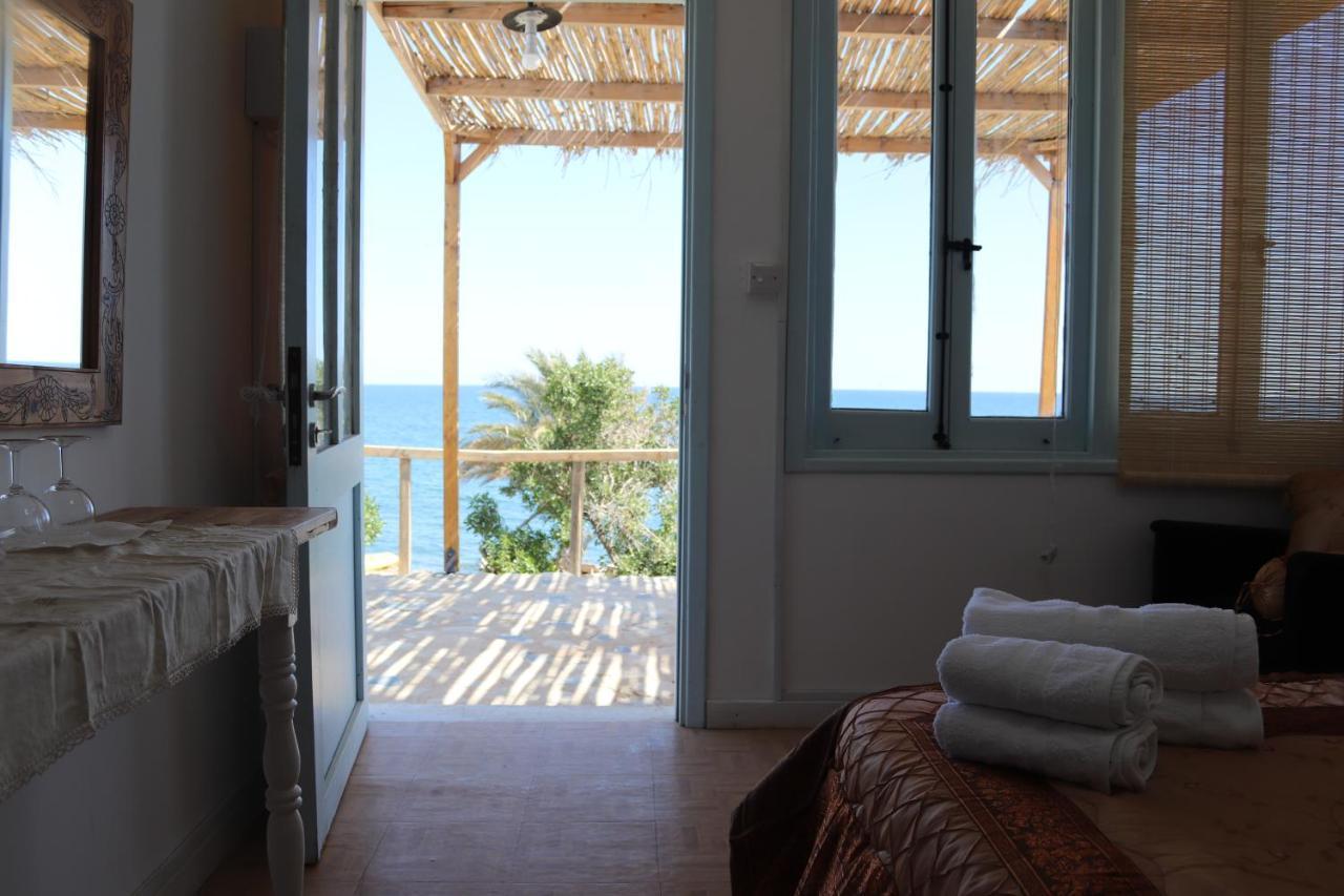 Summer Dream Cyprus Maroni Экстерьер фото