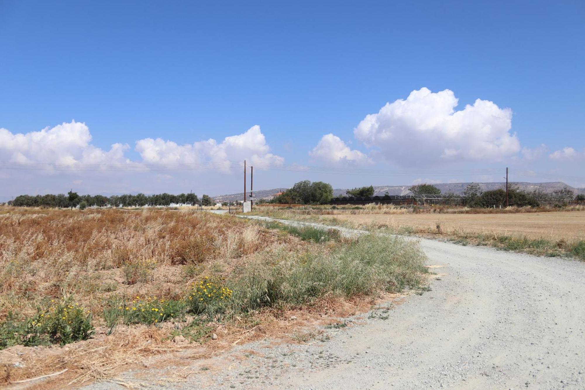 Summer Dream Cyprus Maroni Экстерьер фото
