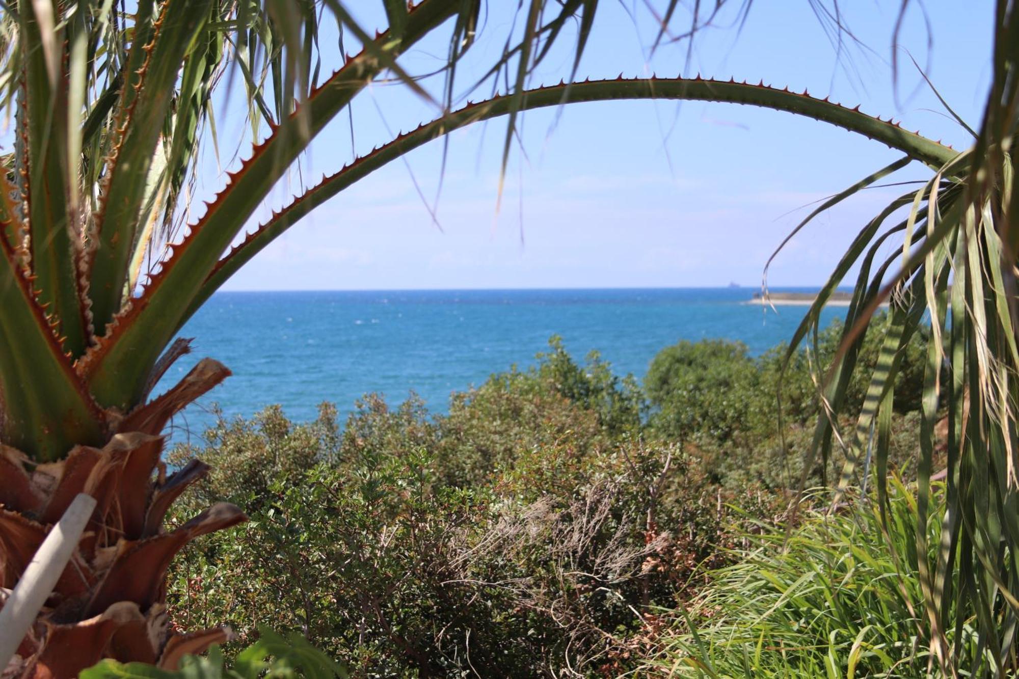 Summer Dream Cyprus Maroni Экстерьер фото